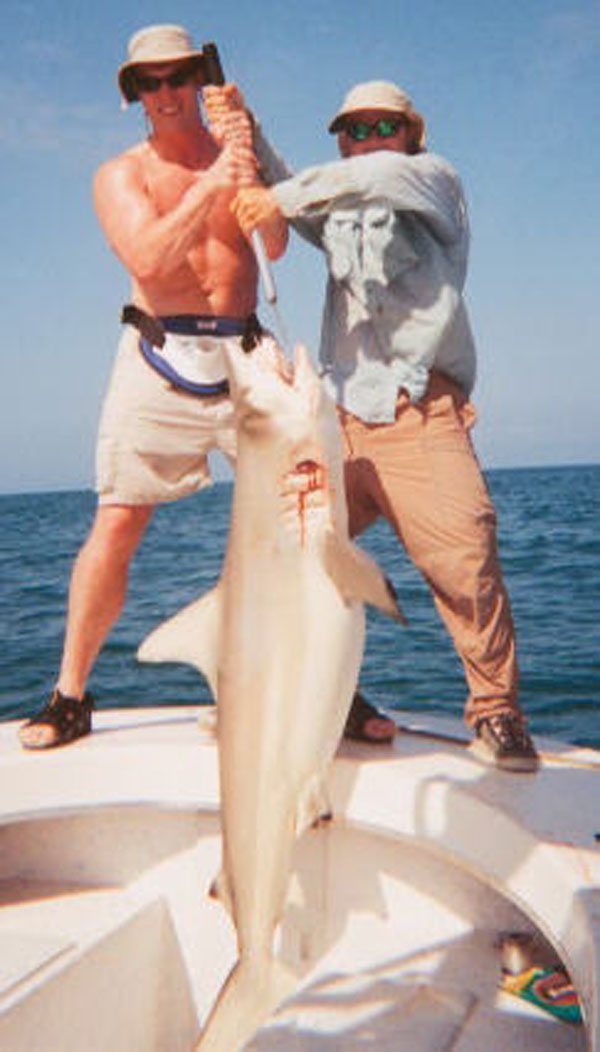 bull shark attack lake michigan. ull shark attack pictures. a 6ft ull shark right off; a 6ft ull shark right off. addicted44. Mar 29, 11:56 AM