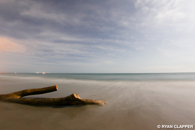 Drift Wood